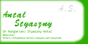 antal styaszny business card